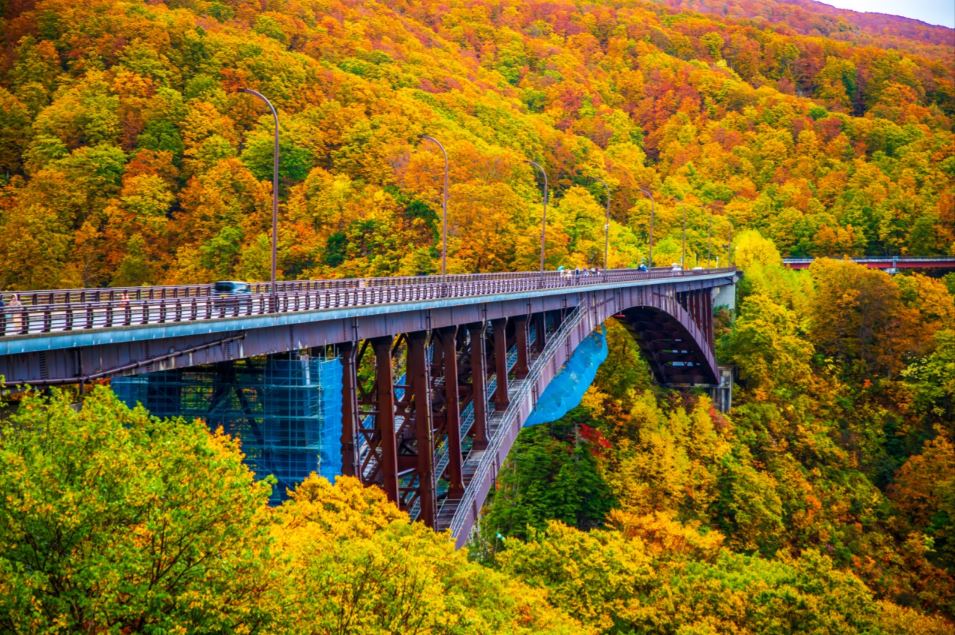 城倉大橋的秋色，吸引不少人前來打卡。