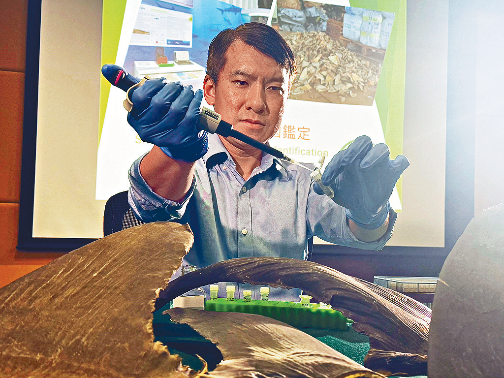 何景欣示範用「快速鯊魚物種基因鑑定技術」辨認鯊魚物種，最快兩小時可取得結果。