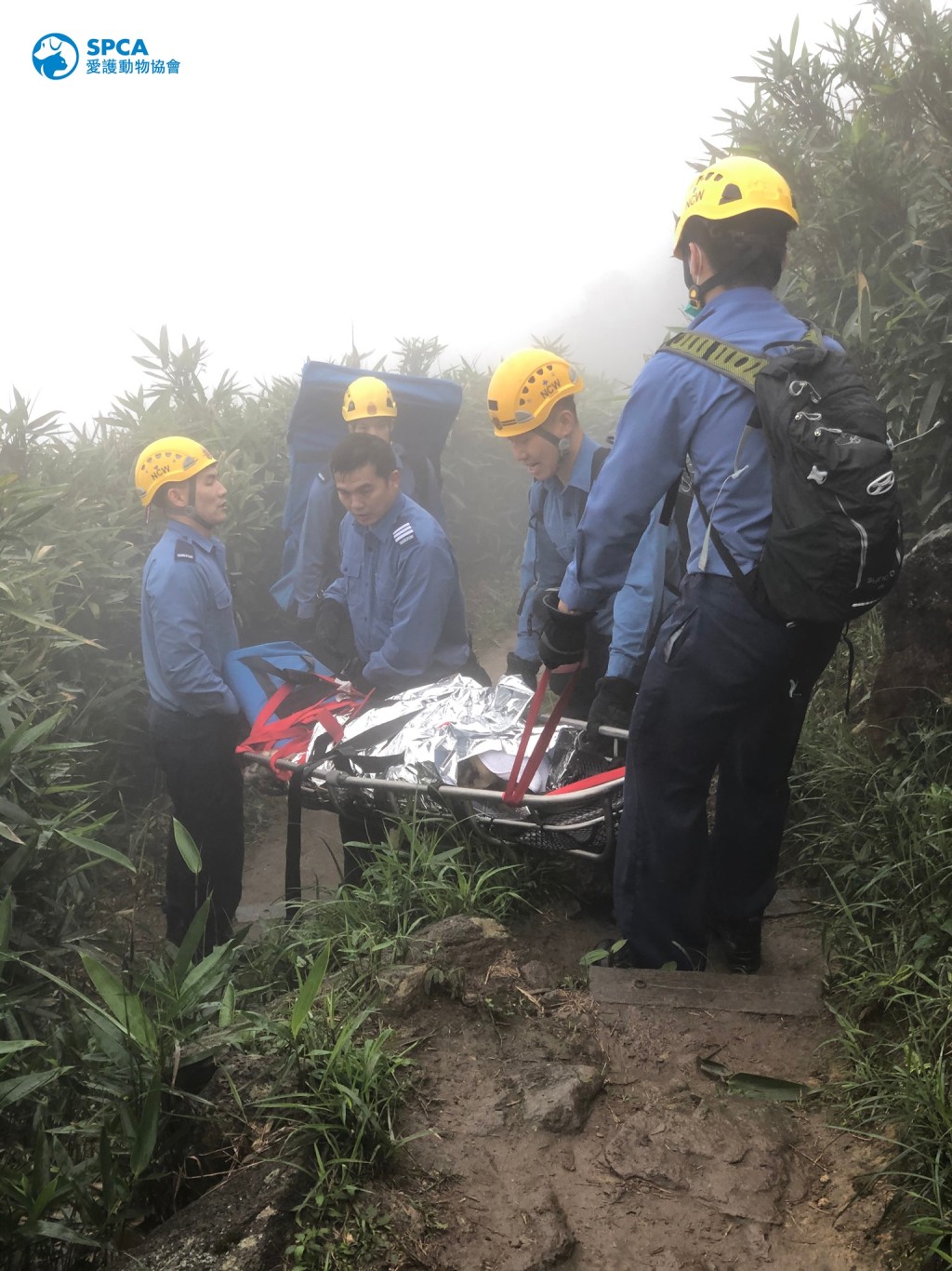 消防協助運送高加索犬下山。愛協Facebook
