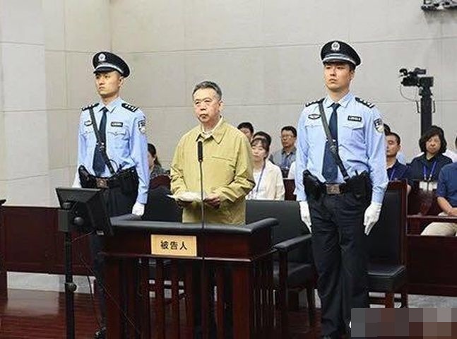 公安部原副部長孟宏偉。網圖