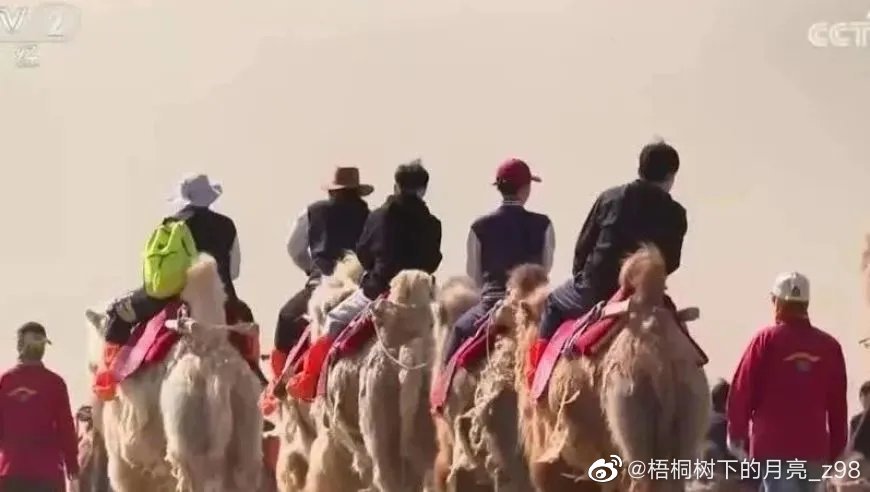 骑骆驼是当地热门的旅游活动。(央视画面截图)