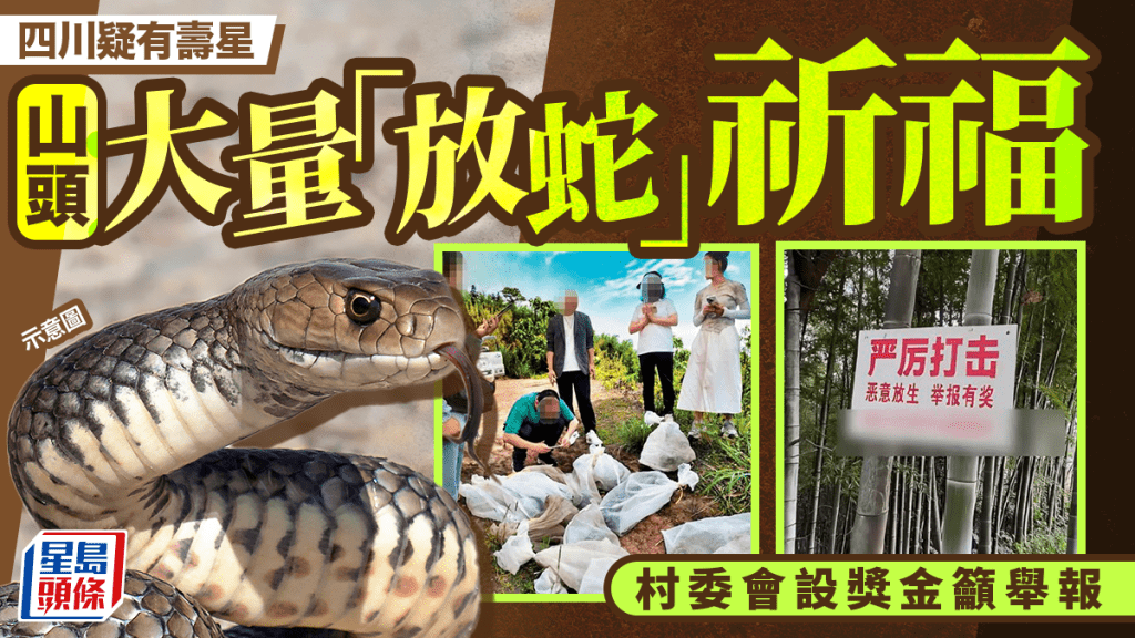 四川有人大量放蛇祈福  宜賓居民憂心忡忡