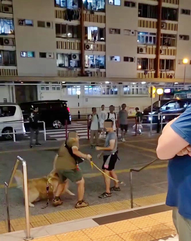facebook截圖(資料來源:輝輝廖@facebook齊齊贏馬會 馬會出糧) facebook截圖(資料來源:輝輝廖@facebook齊齊贏馬會 馬會出糧)
