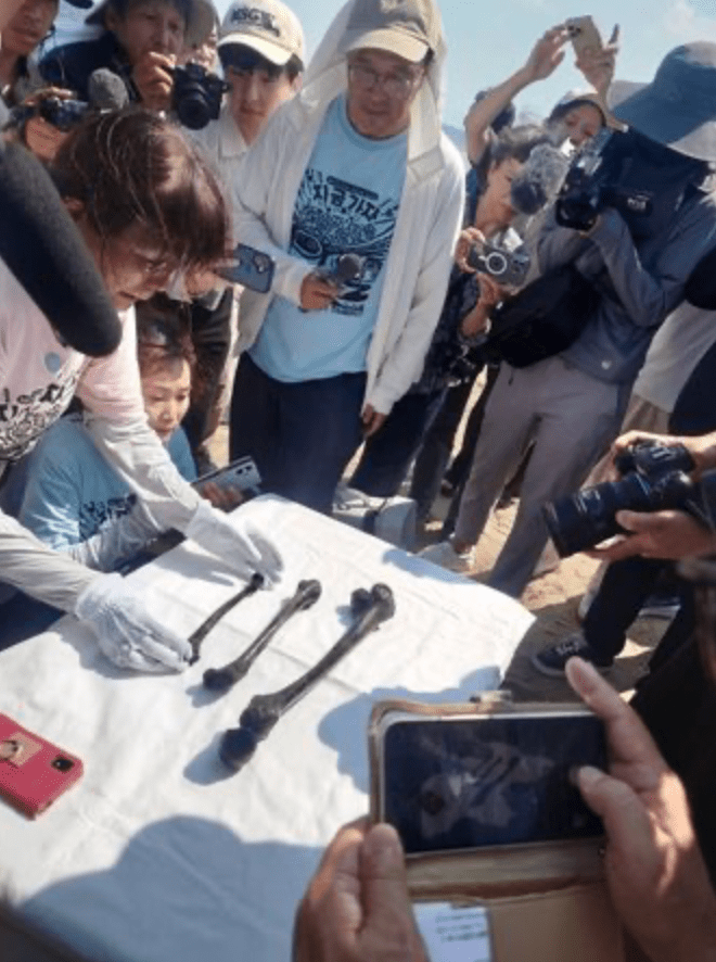 打撈人員在事故現場發現了三件疑似人體骨骼,包括一根大腿骨,長度分別為42厘米、29厘米與23厘米。X@Chouseikizamu 打撈人員在事故現場發現了三件疑似人體骨骼,包括一根大腿骨,長度分別為42厘米、29厘米與23厘米。X@Chouseikizamu