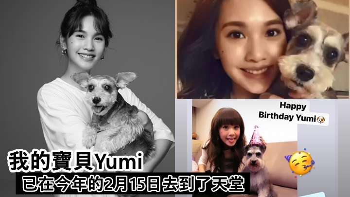 楊丞琳黑白照悼念愛犬,趕回台灣陪走最後一程。