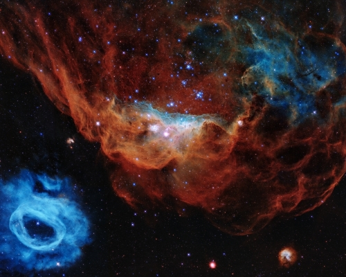 紅色星雲(NGC 2014)及其旁邊的藍色星雲(NGC 2020)。 NASA網站圖片
