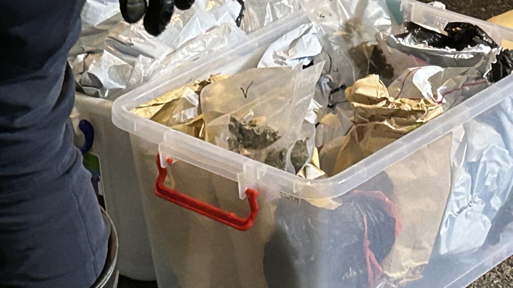 警方在在車廂後座乘客位發現兩箱可疑物品,搜出大麻、大麻花、大麻油和大麻糖。蔡楚輝攝 警方在在車廂後座乘客位發現兩箱可疑物品,搜出大麻、大麻花、大麻油和大麻糖。蔡楚輝攝