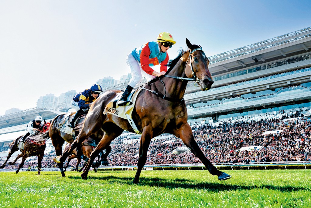 今年1月25日，「嘉應高昇」在沙田馬場攻下一級賽「百周年紀念短途盃」（1200米），追平「精英大師」的17連勝紀錄。