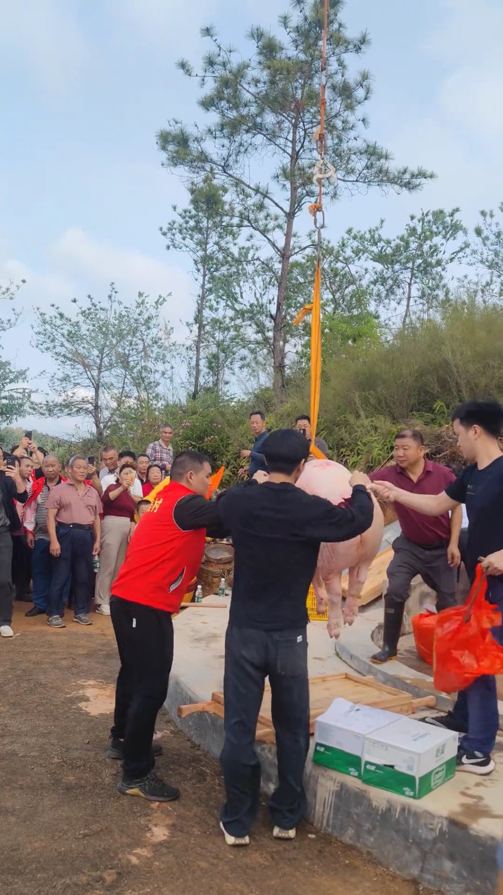 村民用无人机吊猪羊上山祭祖。抖音＠五华县佳音婚庆一站式策划