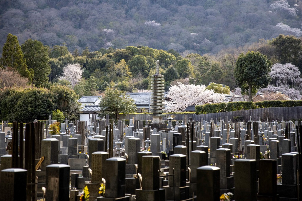 日本越來越多的墓地正遭遇「無緣化」的困境。法新社