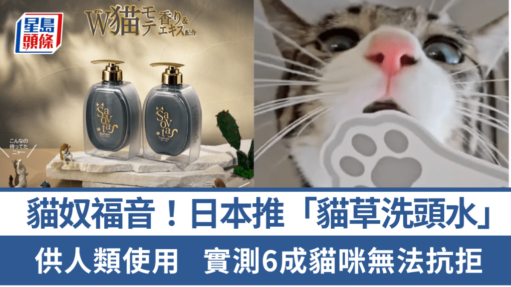 想被貓主子瘋狂吸？日本新出「貓草人類洗頭水＋護髮素」 實測6成貓咪無法抗拒