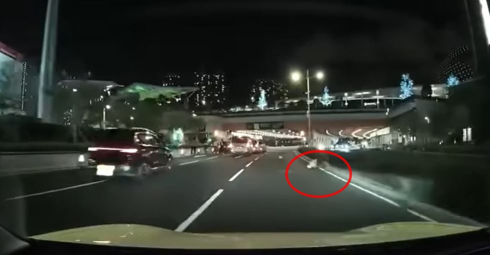 車cam顯示老翁從右邊草叢爬出。轉載fb車cam L（香港群組）