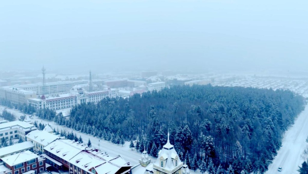 哈尔滨市被积雪覆盖。