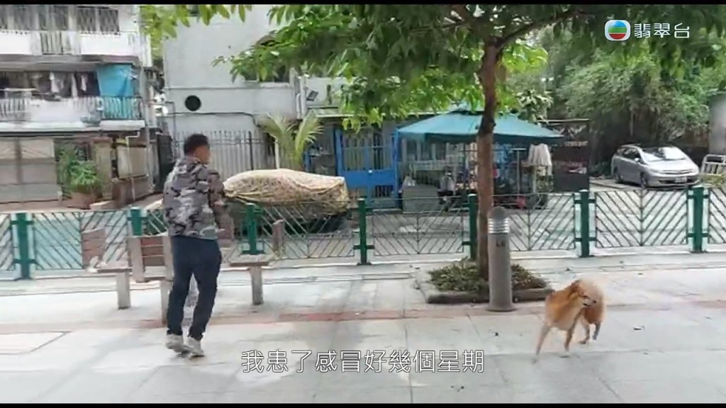 而吴大强与爱犬互动时缓步跑跳都没有问题。