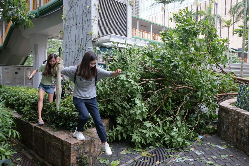 「蘇拉」過後街道滿目瘡痍，有關部門接獲超過3000宗塌樹報告。