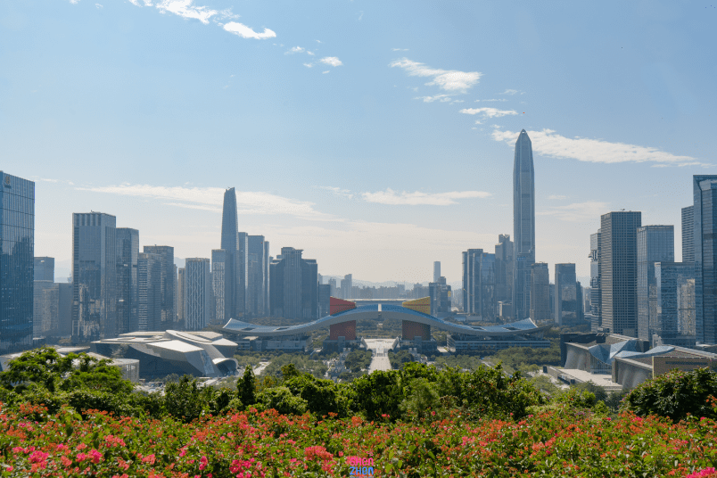 蓮花山公園可以俯瞰深圳市中心區全貌。