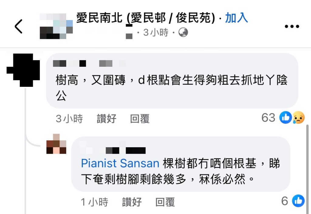 有網民對榕樹倒塌原因提出質疑。fb截圖