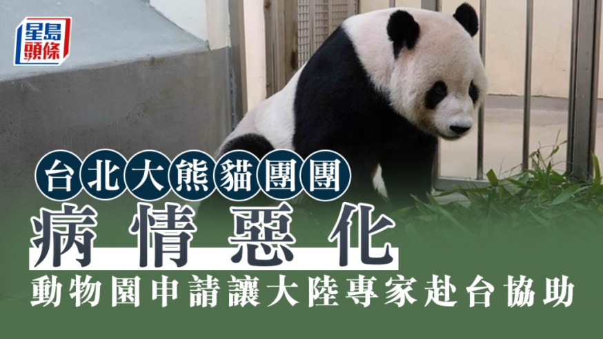 台北市动物园将申请让大陆大熊猫专家赴台，协助处理大熊猫团团病情。