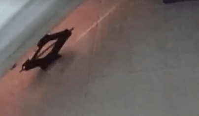 畢某撬開大門行竊。央視新聞