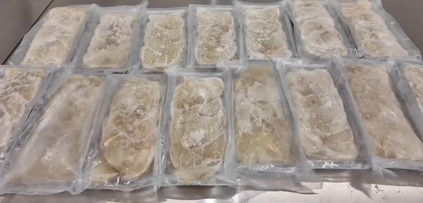 婦人北上福田口岸過關被截,行李篋驚揭藏近34公斤魚翅。海關發布 婦人北上福田口岸過關被截,行李篋驚揭藏近34公斤魚翅。海關發布