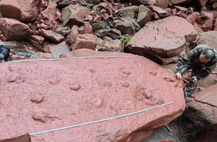 10岁小孩徐铉坤发现的恐龙足迹化石。