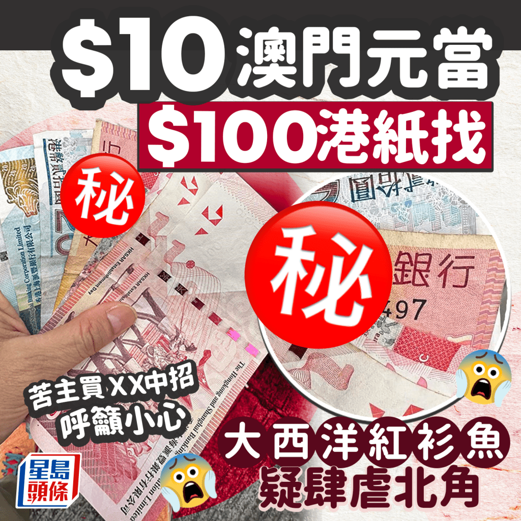 $10當$100找？ 大西洋「紅衫魚」疑肆虐北角 苦主買ＸＸ中招