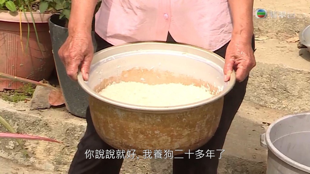  蘭婆婆講得相當勞氣：「佢為食，走去食人哋啲咸嘢，就會有（皮膚病）㗎啦。我大把嘢畀佢哋食，又狗糧又煮飯，我養咗20幾年喇。」