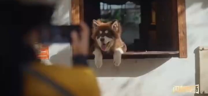 美團近日一段宣傳片被批脫離現實。央視截圖