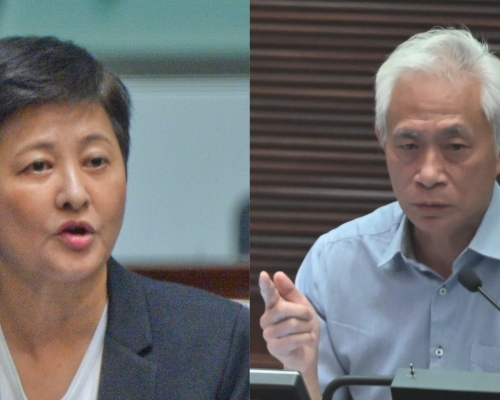 年輕本土派對部分泛民議員如黃碧雲、梁耀忠等一直有所不滿，相信在初選時會成為被攻擊的對象。資料圖片