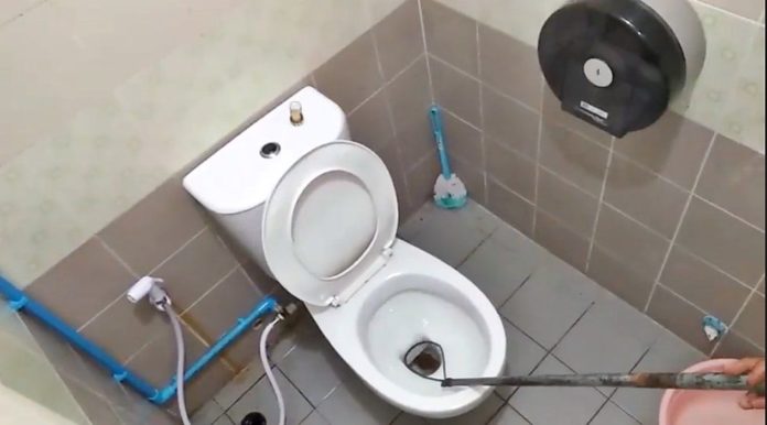 泰國有一隻蟒蛇躲藏在住宅的馬桶裡。網上圖片