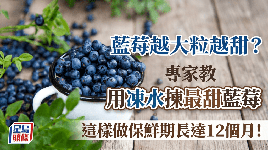 藍莓越大粒越甜？專家教用凍水揀最甜藍莓 這樣做保鮮期長達12個月！