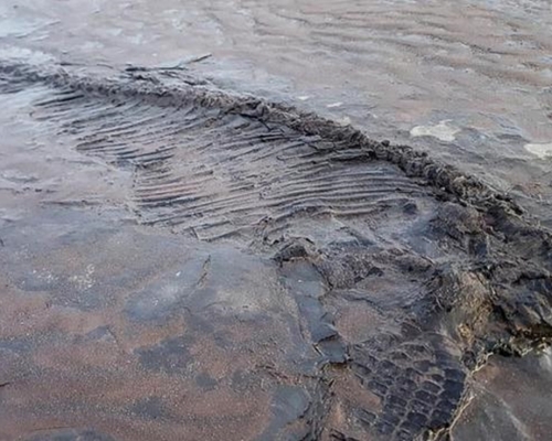 英國男子海邊遛狗，發現約6500萬年魚龍骨。網上圖片