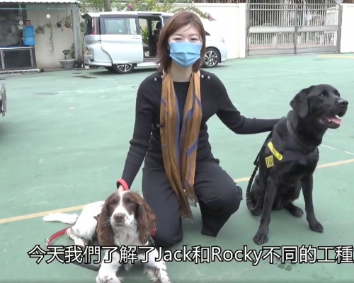 容海恩和沙田區消防安全大使名譽會長會主席梁振邦到沙田消防局了解消防搜救犬隊及火警調查犬隊的工作。圖左是消防搜救犬JACK、圖右是火警調查犬ROCKY。(容海恩fb)