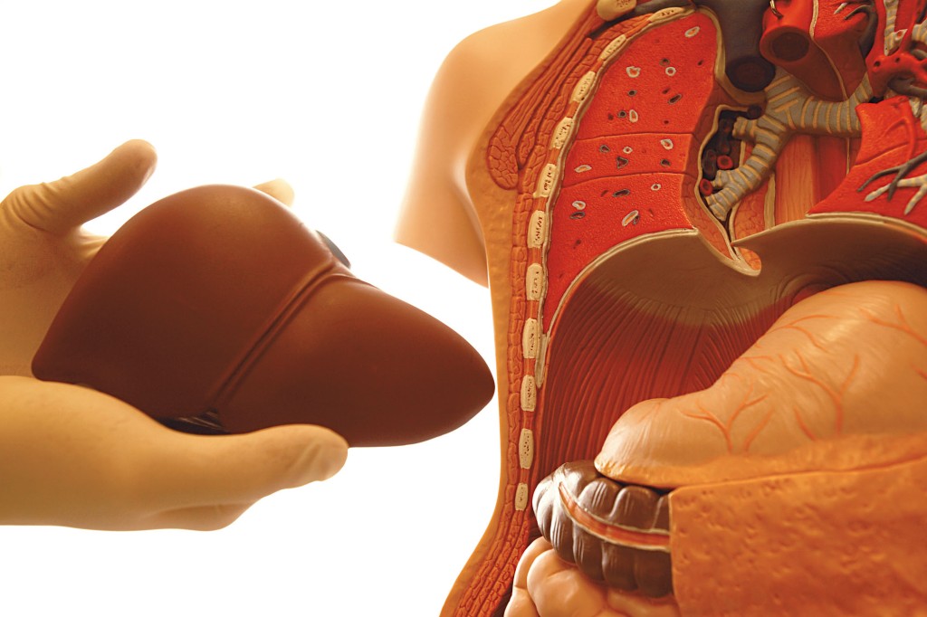 孕婦的肝臟健康非常重要，若其肝功能受損，有機會危及母嬰生命。
　　