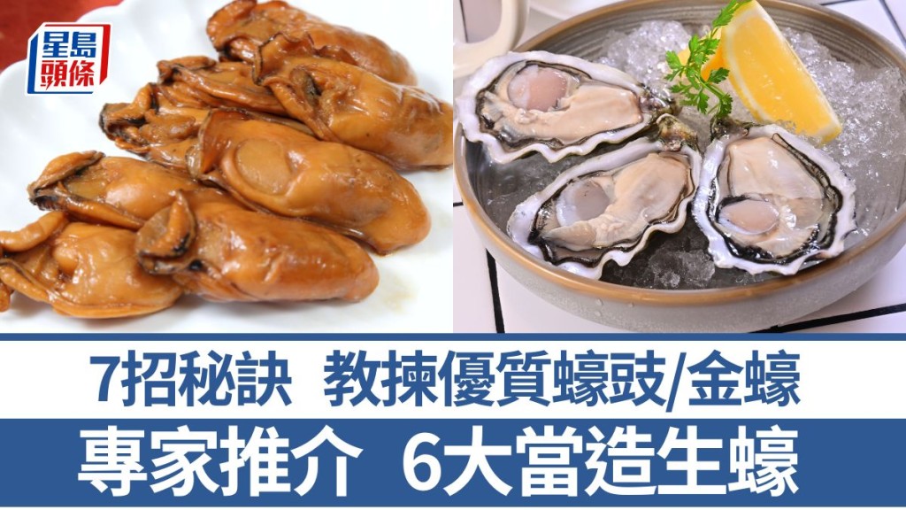 專家講解6大當造生蠔 7招秘訣教選優質蠔豉/金蠔 附簡易食譜｜食材知識