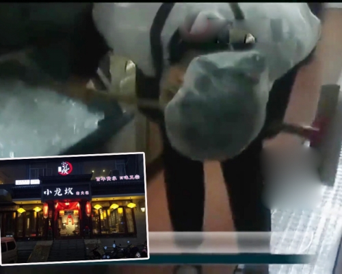 小龍坎火鍋南京分店被揭發用地拖棍搗製冰機。(網圖)