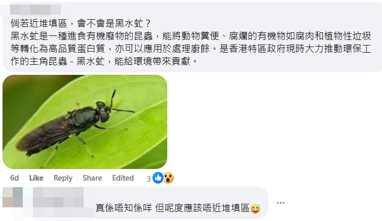 網民:倘若近堆填區,會不會是黑水虻?fb「天水圍街坊鄰里」截圖 網民:倘若近堆填區,會不會是黑水虻?fb「天水圍街坊鄰里」截圖