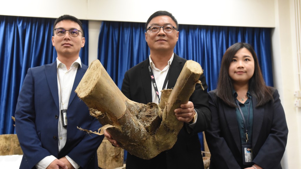 警破元朗家庭式土沉香加工場 5人涉非法砍伐被捕 檢1500萬元香木