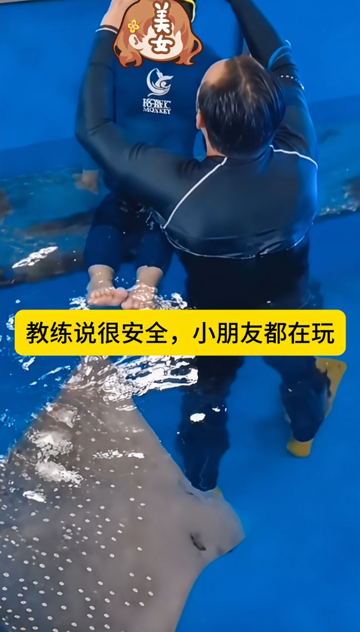 包先生參加水族館的潛水活動時被鯊魚咬至毀容。抖音
