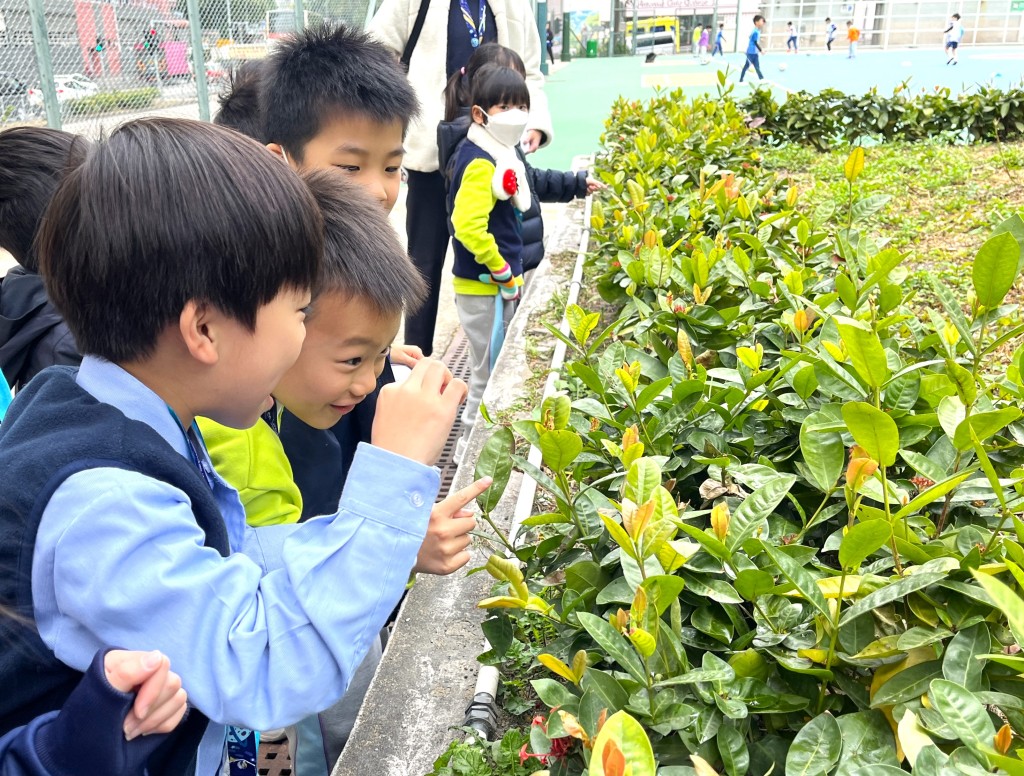 (圖片來源:福建中學附屬小學) (圖片來源:福建中學附屬小學)