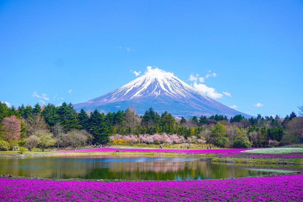 (圖片來源:Pixabay) (圖片來源:Pixabay)