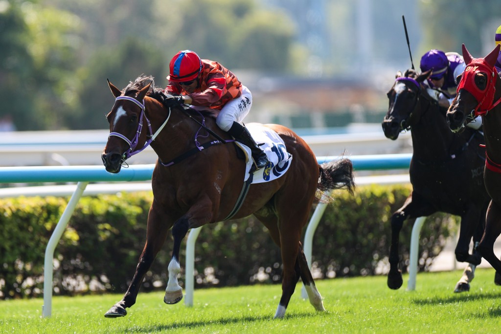 何泽尧凭苏伟贤马房的「马宝宝」再添头马进账。 何泽尧凭苏伟贤马房的「马宝宝」再添头马进账。