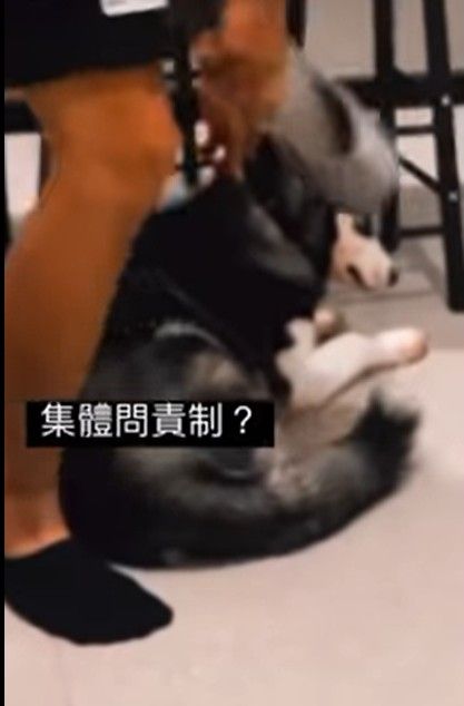 網上圖片