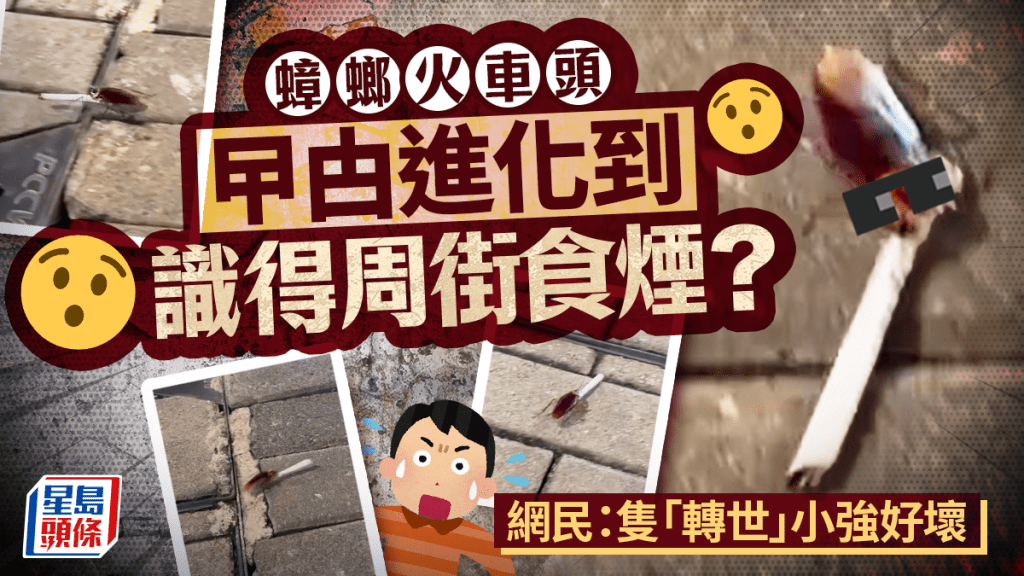 曱甴進化到識得周街食煙? 蟑螂火車頭 網民:隻「轉世」小強好壞 曱甴進化到識得周街食煙? 蟑螂火車頭 網民:隻「轉世」小強好壞