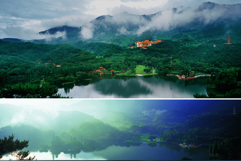 仙湖植物園（網圖）