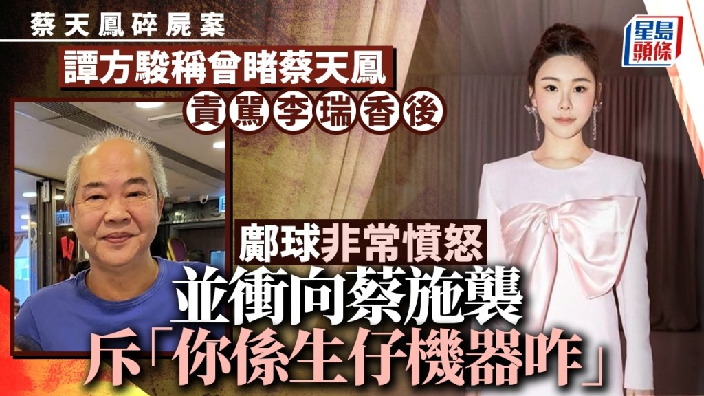 譚方駿供稱，曾目擊鄺球兩度衝向蔡天鳳施襲，並爆粗大罵蔡天鳳「你生仔機器咋！」