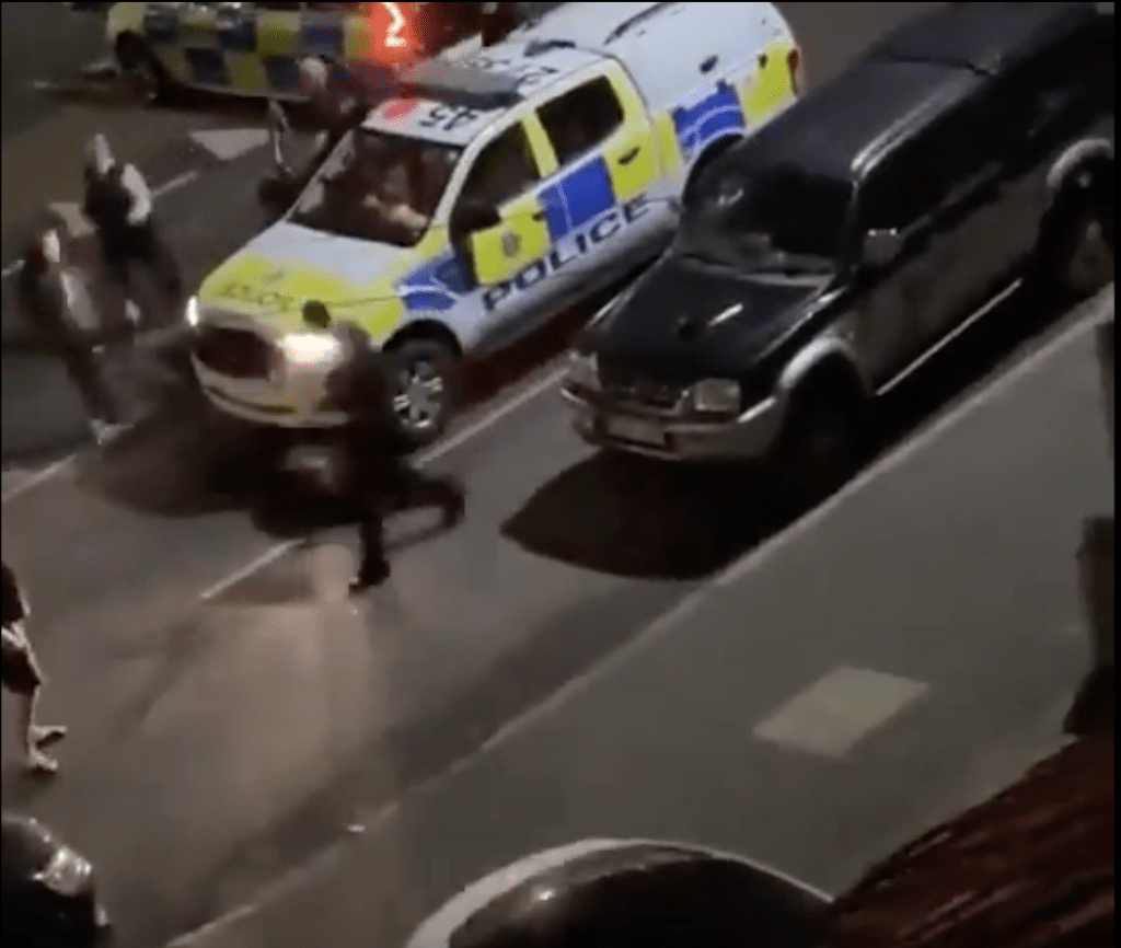 英国一只种牛被警员驾驶警车猛撞。（图片来源：X片段截图）