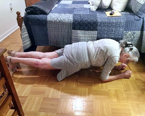 網圖