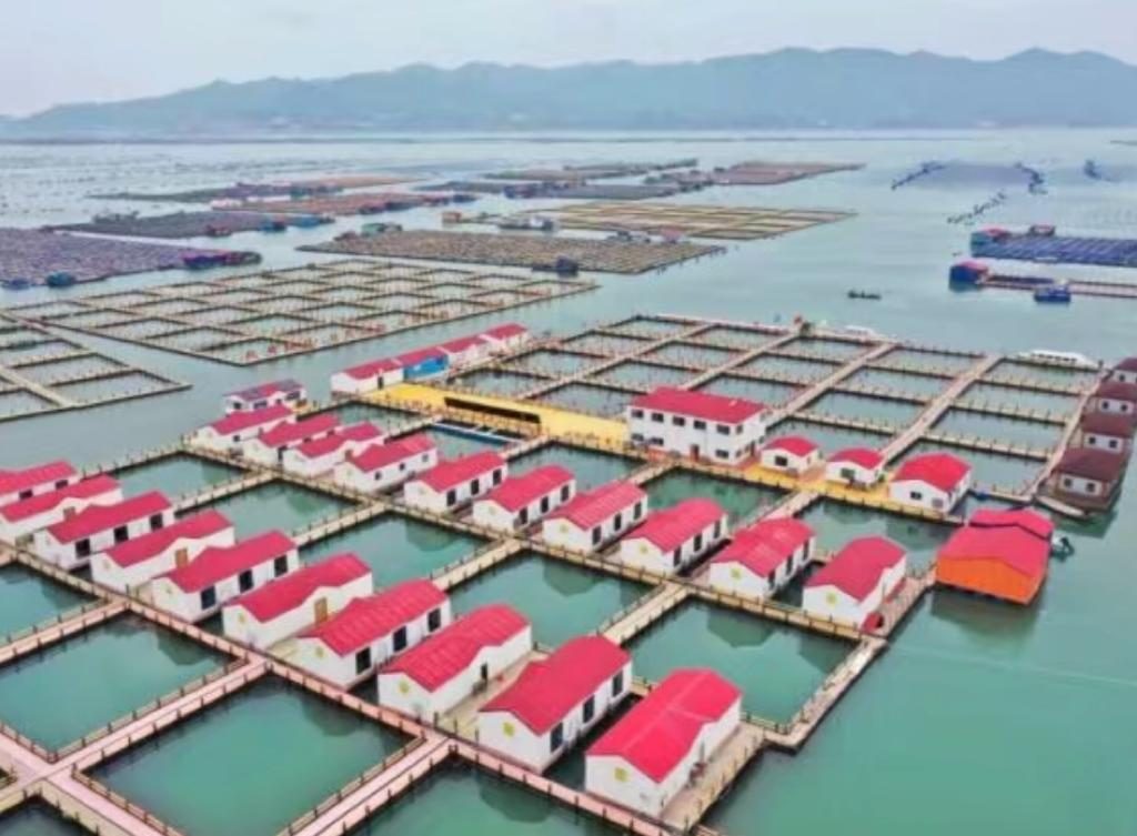 霞浦縣溪南鎮七星海域深水網箱養殖區內的漁排民宿。中國經濟未受疫情影響。 新華社圖片