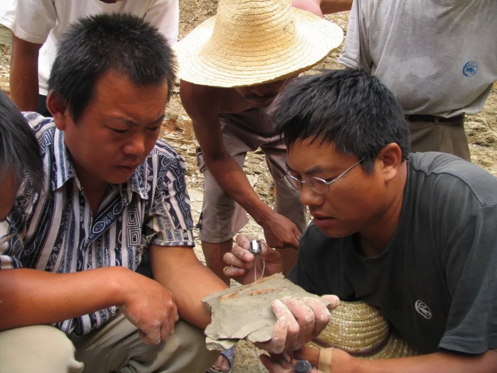 汪筱林在野外研究新发现的化石。